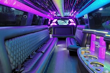 Corpus Christi Limo Interior