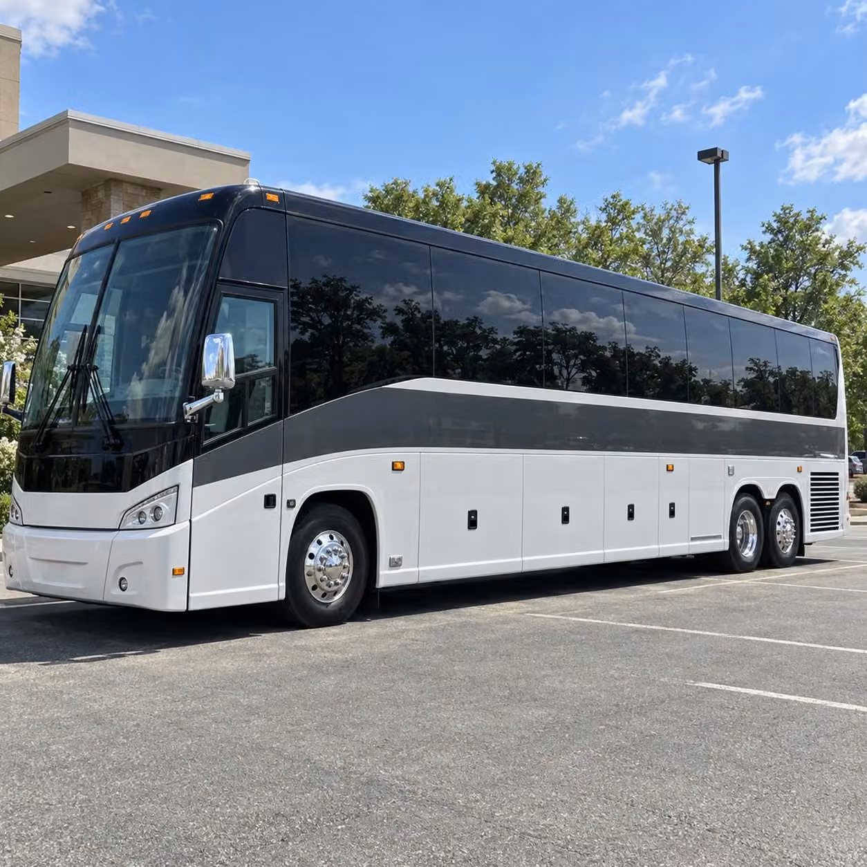 corpus christi prom transportation runs smoothly when your group stays together and charterbuscorpuschristi com makes that easy