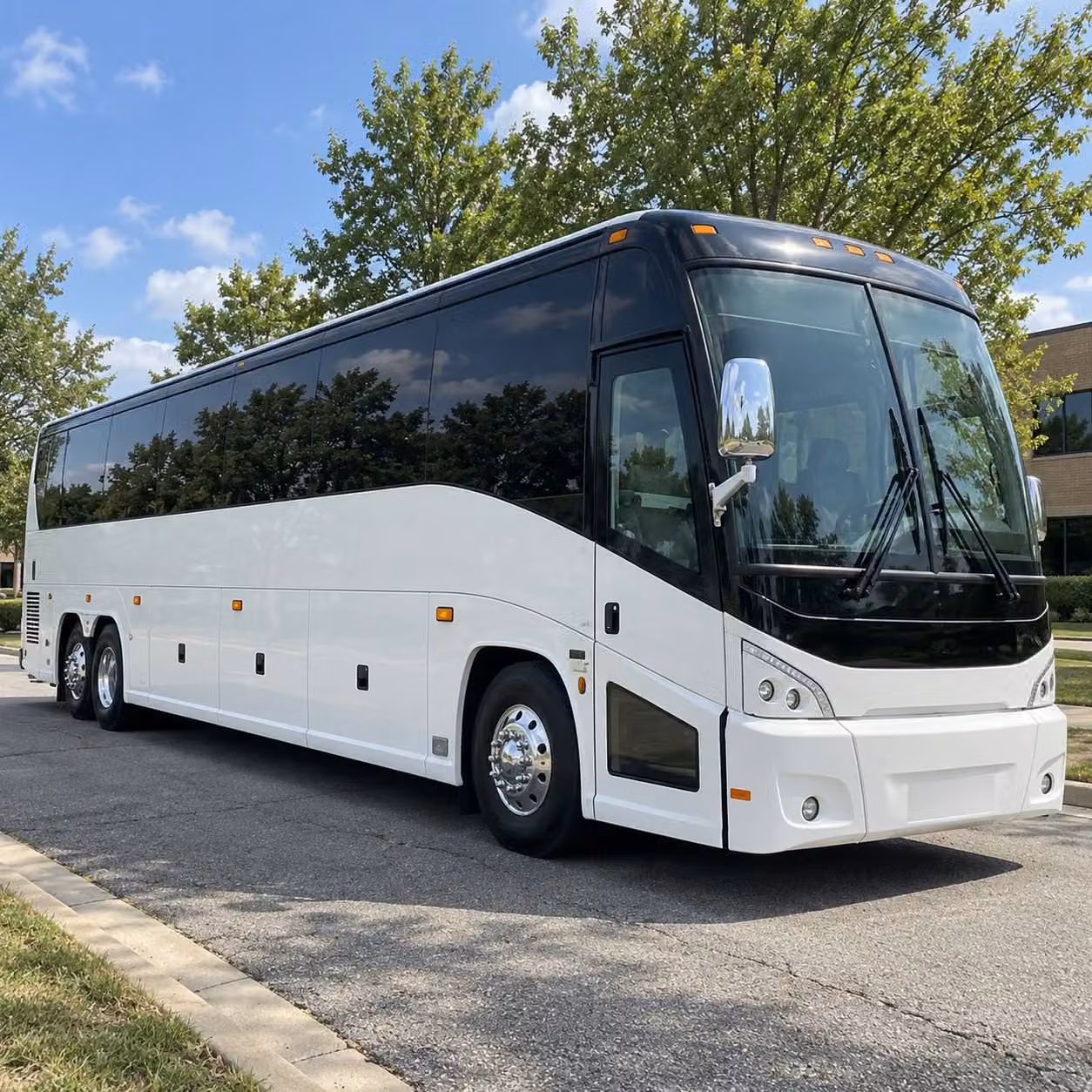 prom homecoming transportation services in corpus christi